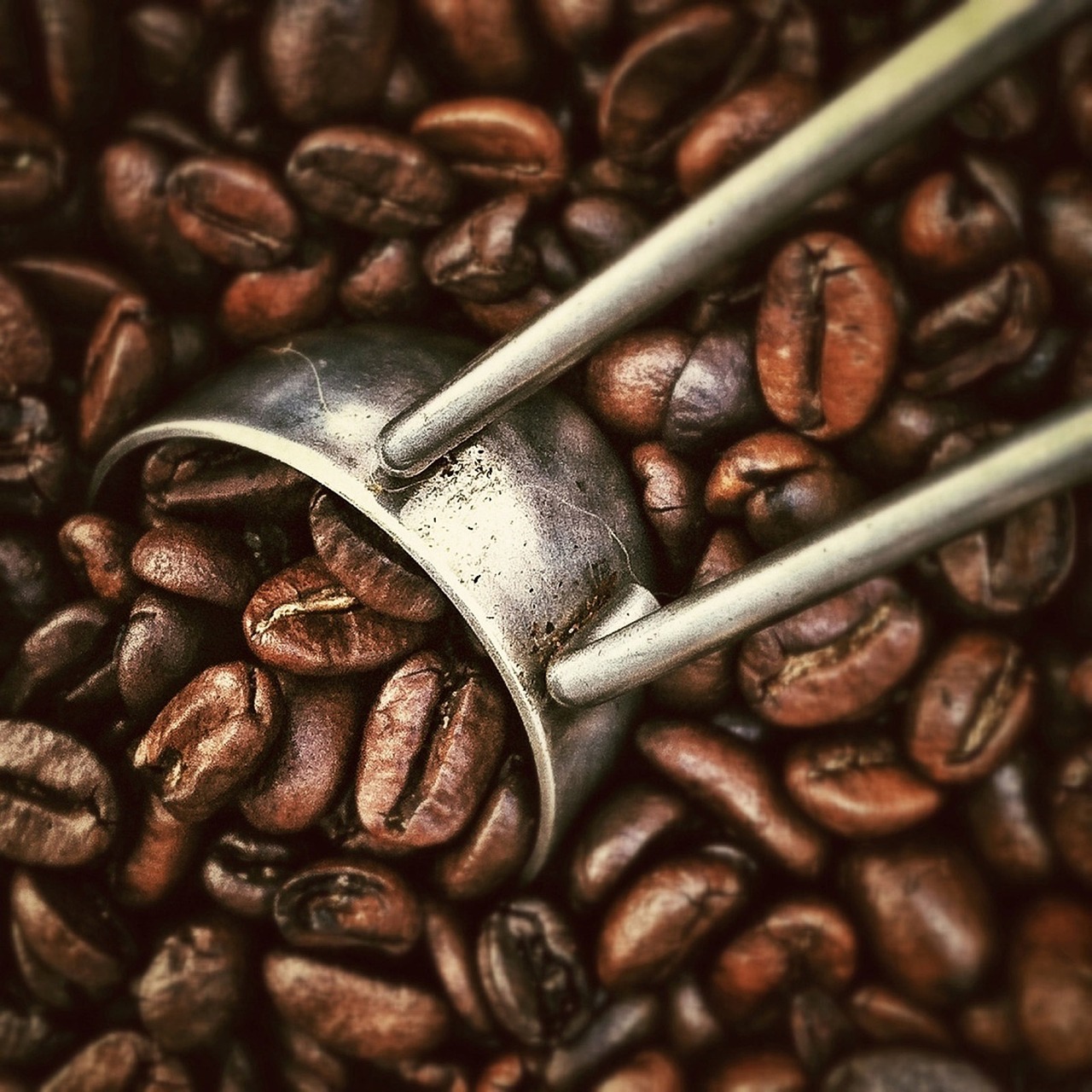 coffee, coffee beans, scoop, roasted coffee beans, coffee seeds, caffeine, close up, coffee, coffee, coffee, coffee, coffee, coffee beans