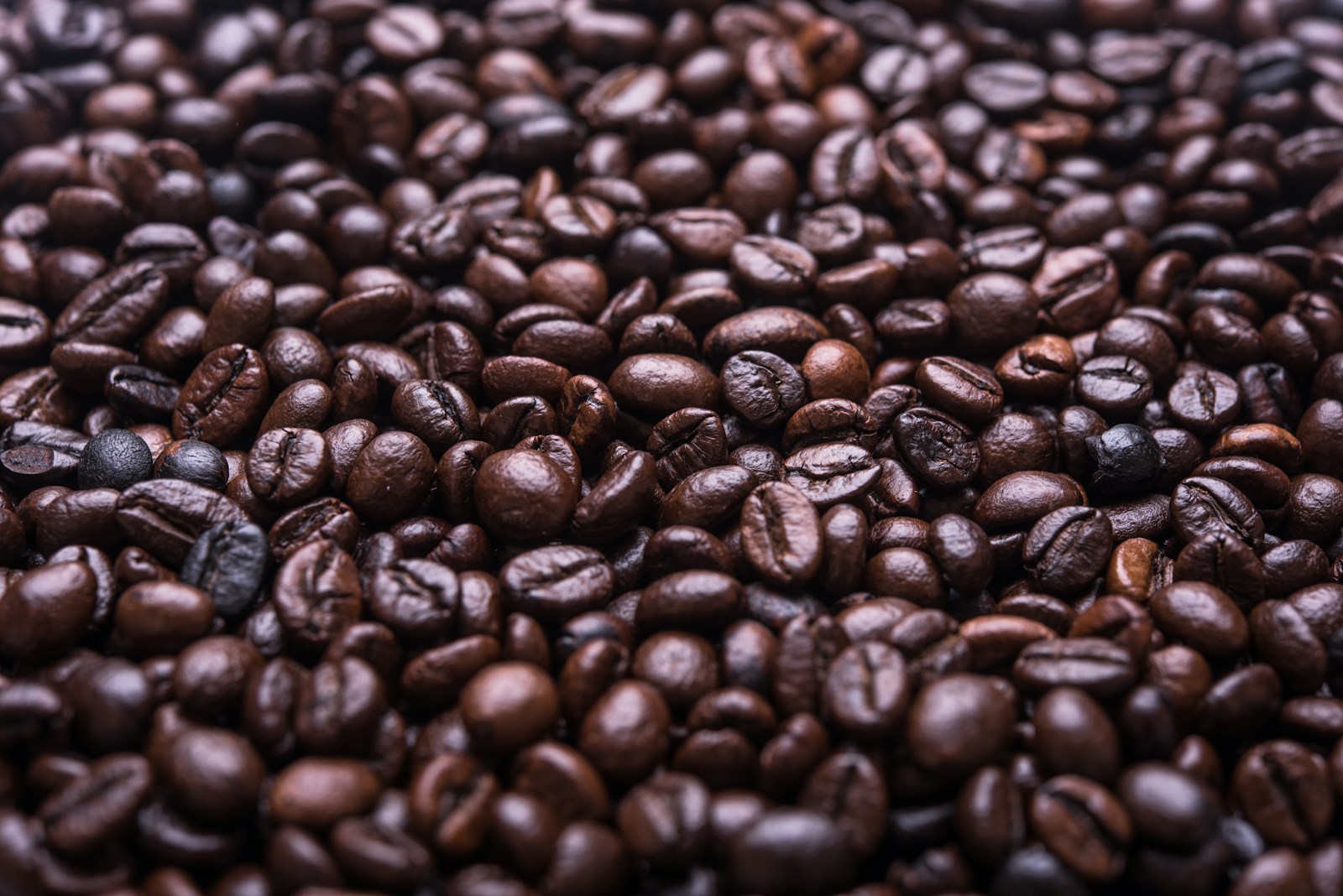 photograph of roasted coffee beans
